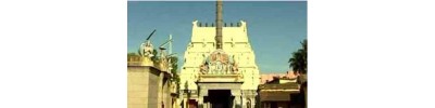 28. திருக்காழிச்சீராம விண்ணகரம்